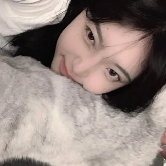 偷懒的猫